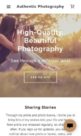 authenticphotographycom-domain-for-sale-great-value-big-1
