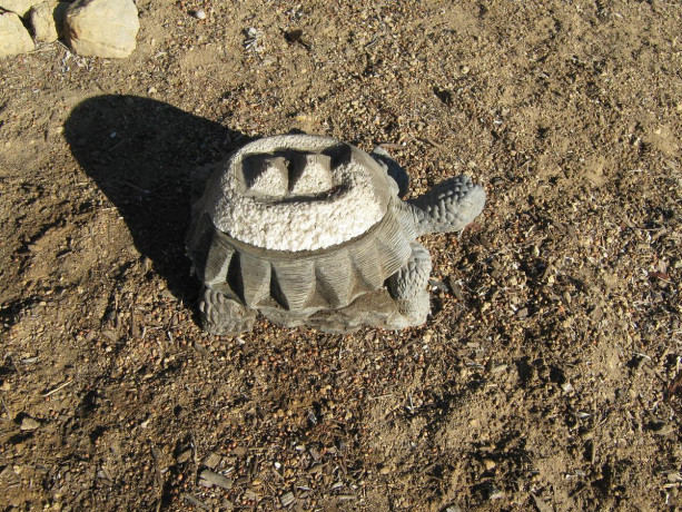 turtle-candle-big-1