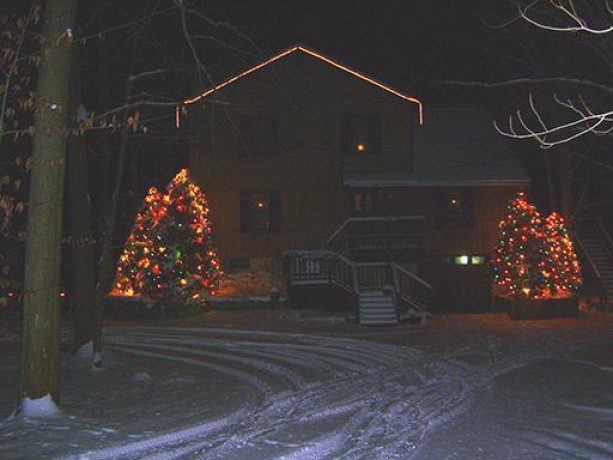 beautiful-fir-christmas-trees-for-sale-big-0
