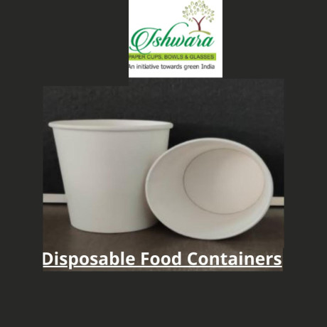 disposable-food-containers-best-paper-container-online-big-0