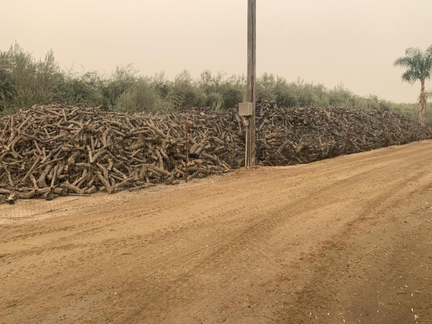 seasoned-top-quality-olive-firewood-big-0