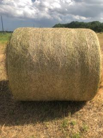 hay-for-sale-tifton-85-big-2