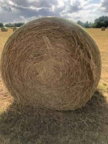 hay-for-sale-tifton-85-big-1