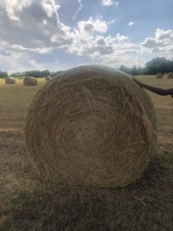 hay-for-sale-tifton-85-big-0