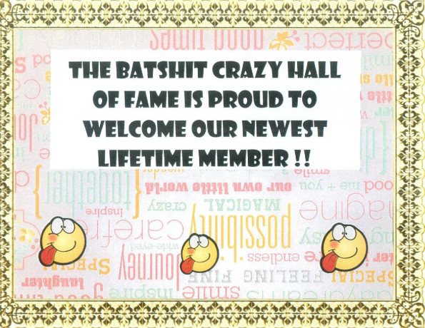 the-batst-crazy-hall-of-fame-award-free-sh-big-0