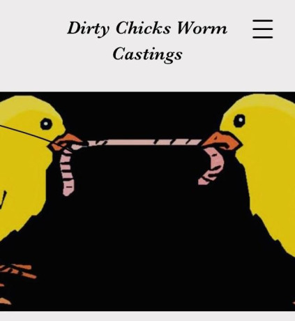 100-organic-worm-castings-fertilizer-big-3