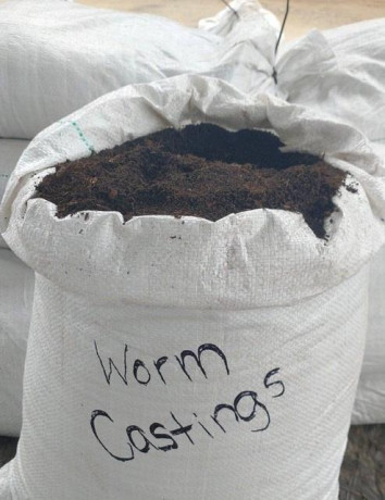 100-organic-worm-castings-fertilizer-big-2