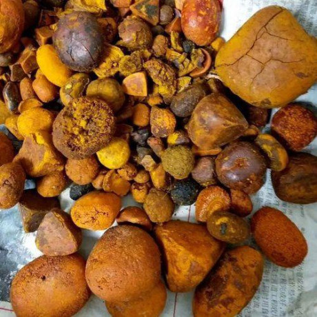 quality-cowox-gallstones-for-sale-big-0