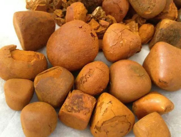 ox-gallstones-cattle-gallstones-cow-gallstones-big-0