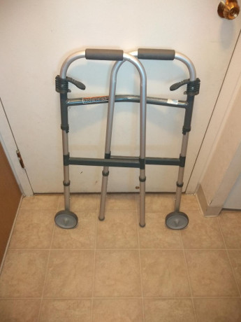 this-is-your-basic-walker-big-0