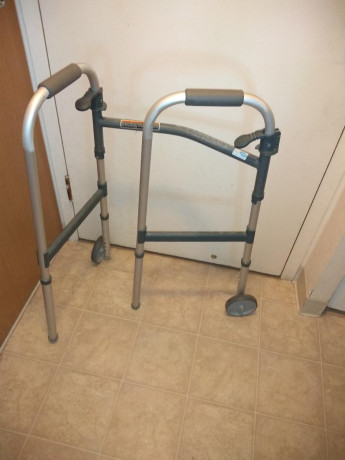 this-is-your-basic-walker-big-1