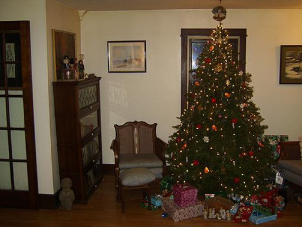 beautiful-fir-christmas-trees-for-sale-big-3
