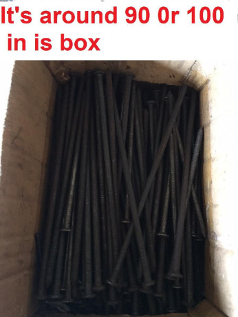 7-inch-long-ring-shank-nails-steel-big-1