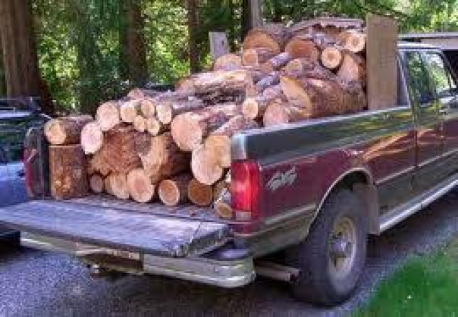firewood-cordwood-firewood-big-1