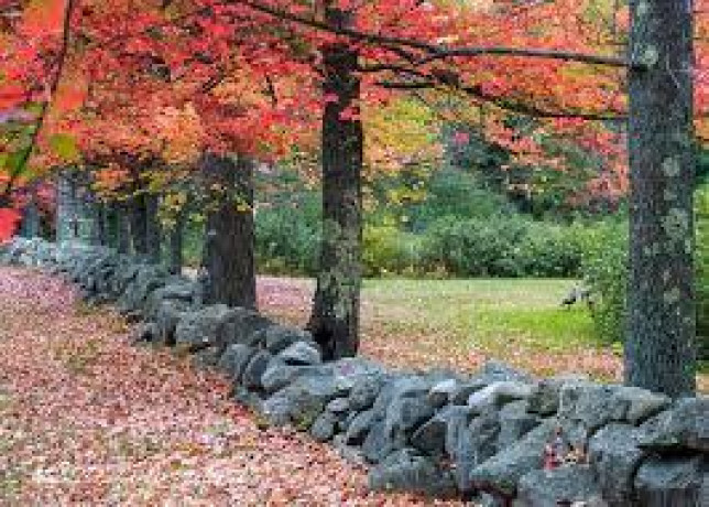 field-stone-of-new-england-big-4