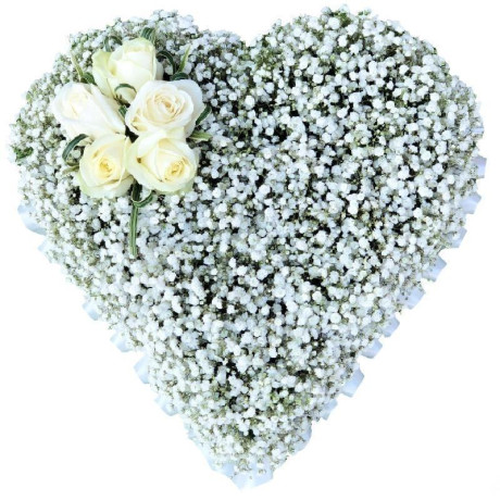 gypsophila-heart-big-0