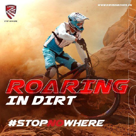 searching-for-the-best-mtb-bicycle-brand-in-india-big-0