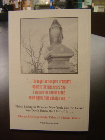 down-this-road-by-james-myers-dan-murphy-local-wny-authors11-tales-of-terror-in-wny-softcover-big-2