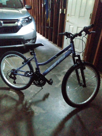 bike-for-preteen-female-big-0