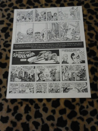 the-amazing-spider-man-comic-strip-big-0