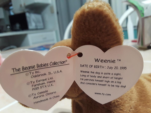 ty-beanie-babies-big-1