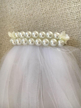 wedding-veil-big-1