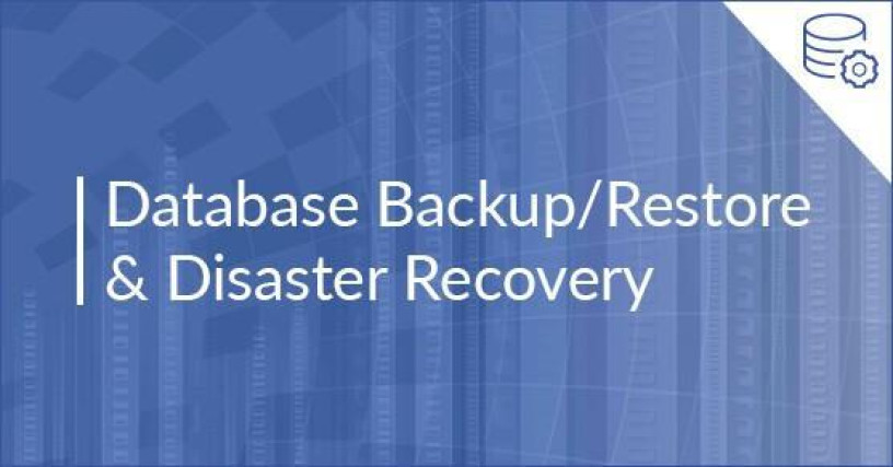 database-backup-restore-nsplservices-chennai-big-0