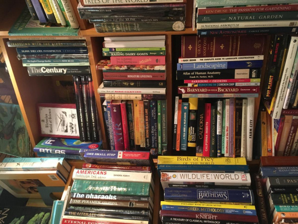 buying-today-from-just-few-to-rooms-full-books-big-0