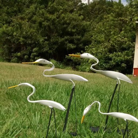 pvc-birds-for-sale-big-0