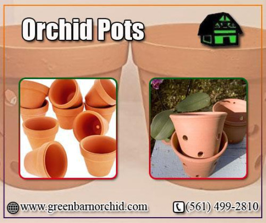 now-orchid-pots-available-online-at-best-price-big-0