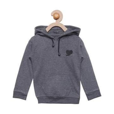 hoodies-for-boys-at-affordable-price-big-0
