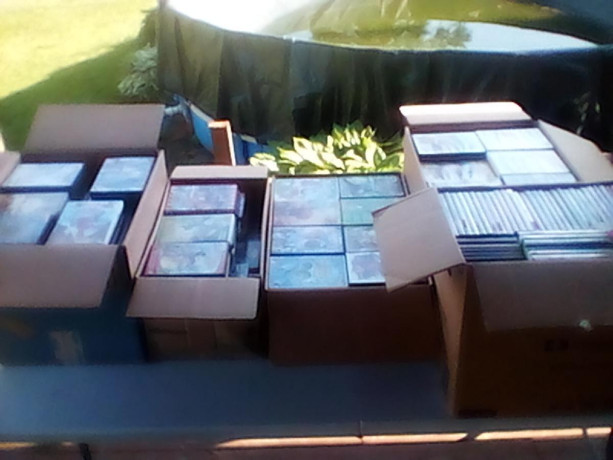 selling-just-over-500-kids-movies-on-dvd-big-0