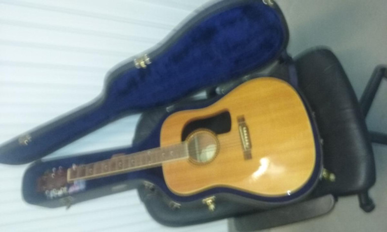 washburn-d30-6-string-accoustic-guitar-pkg-big-3