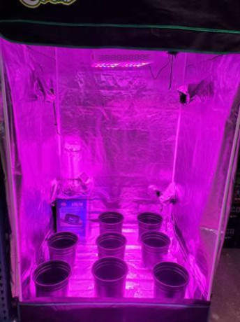 5x5x65-grow-tent-for-houseapartment-big-0