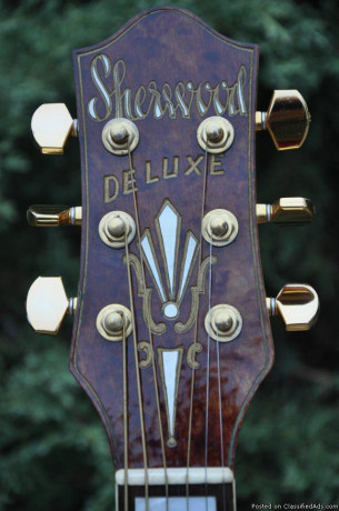 1950-sherwood-deluxe-hollowbody-archtop-electric-guitar-big-0