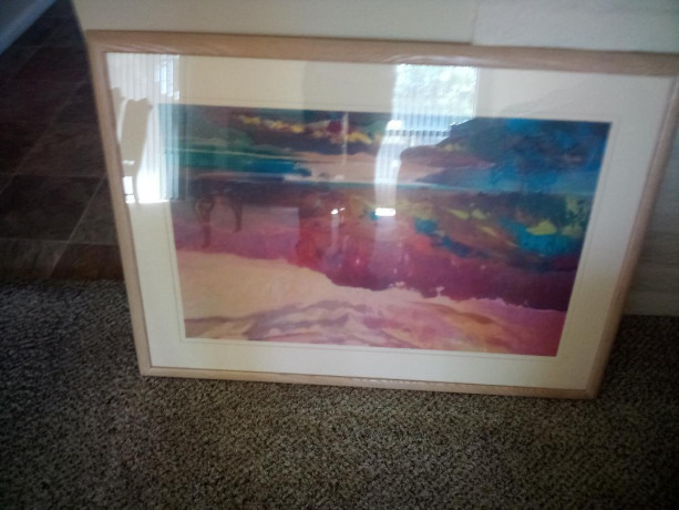 2-perfectly-framed-and-matted-pictures-big-1