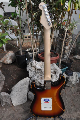 esp-frankenstein-caster-electric-guitar-big-0