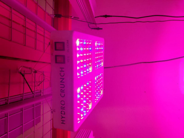 600-watt-led-grow-light-big-0