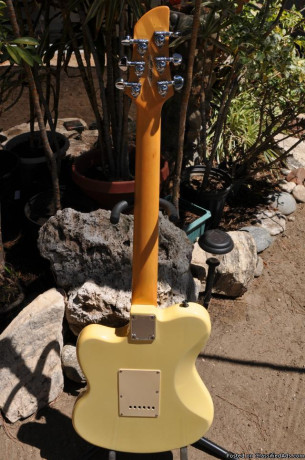 fernandes-native-pro-electric-guitar-big-1