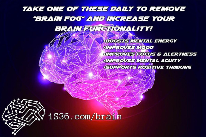 brain-food-for-the-most-important-part-of-your-body-big-0