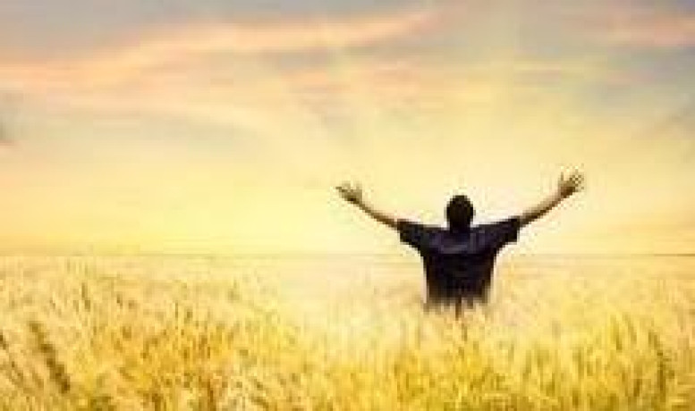 improve-mood-and-overall-health-with-essential-oils-big-1