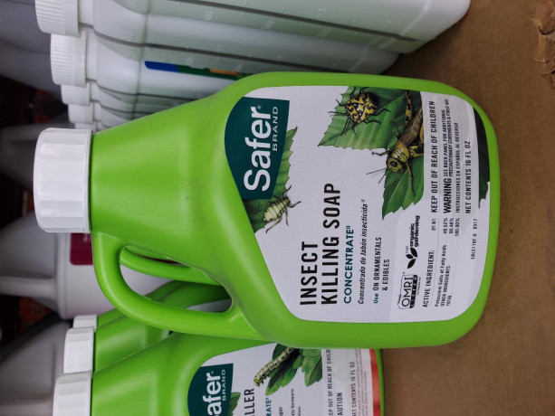 safer-insects-killing-soap-big-0