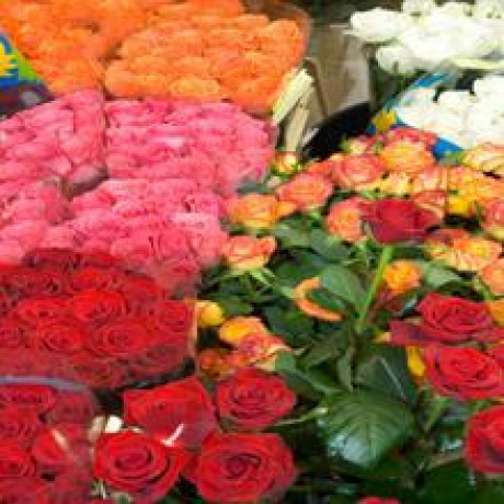 wempens-garden-center-big-0