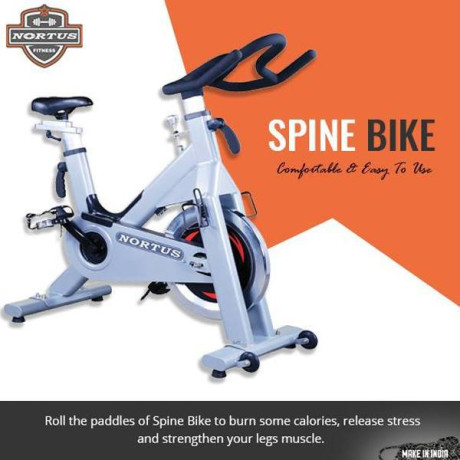biangular-plate-loaded-nortus-fitness-big-0