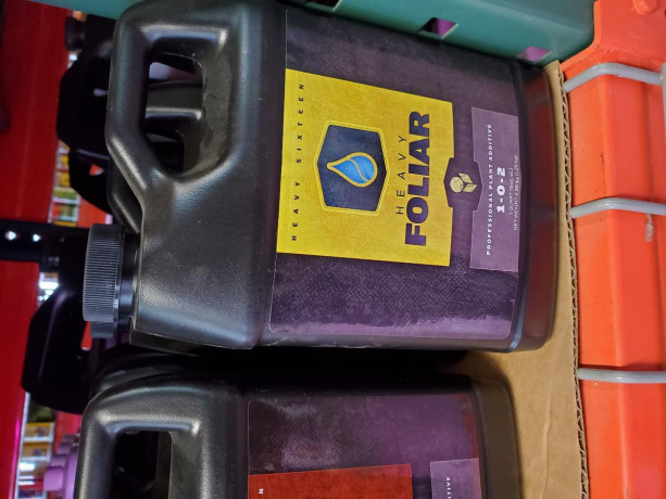 heavy-16-foliar-quart-big-0