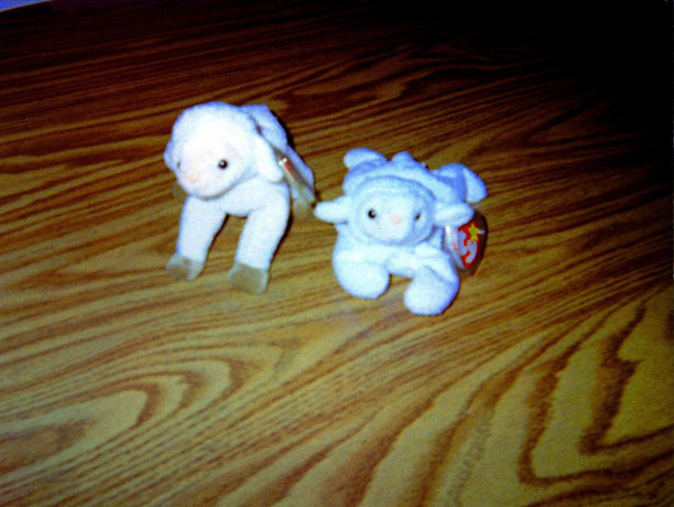 ty-beanie-baby-lambs-big-0