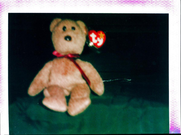 ty-beanie-baby-curly-teddy-bear-big-0