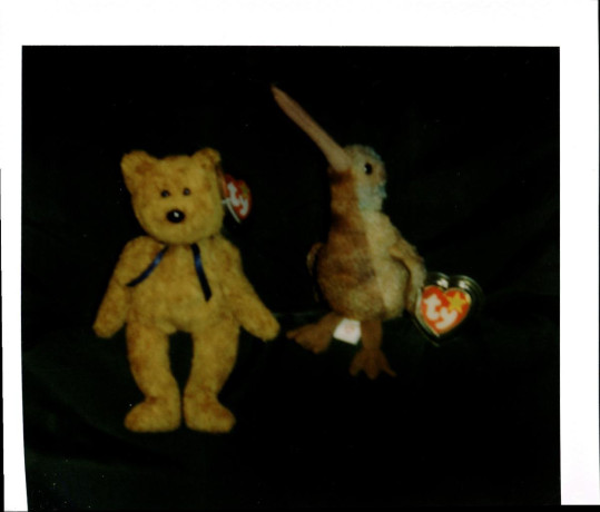 ty-beanie-babies-fuzzy-the-teddy-bear-and-beak-the-bird-big-0