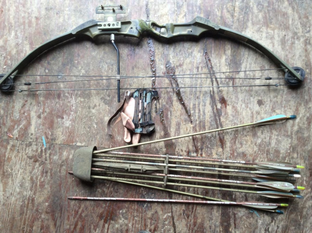 compound-bow-big-0