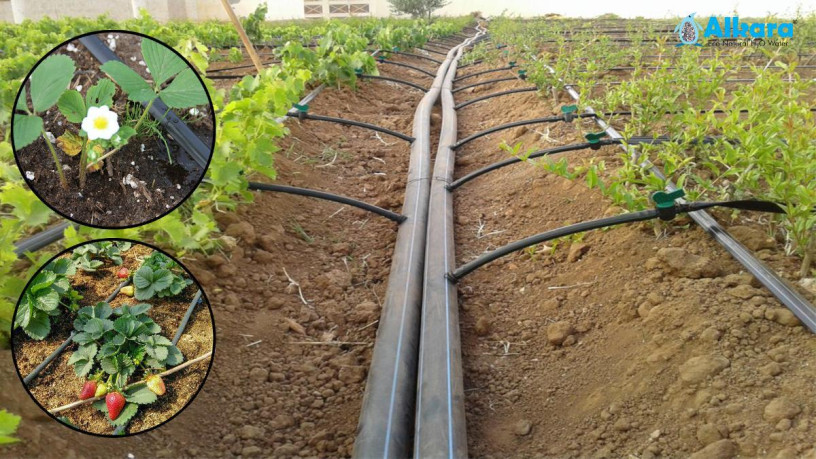 natural-water-softeners-for-agriculture-big-0